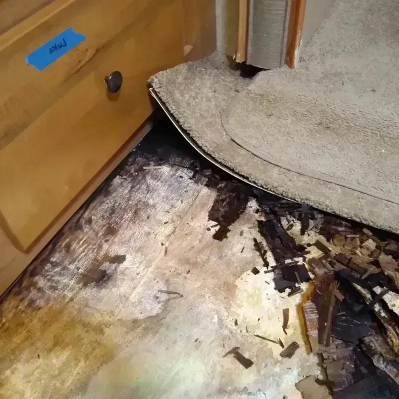 Wood Floor Water Damage in Greene County, NC